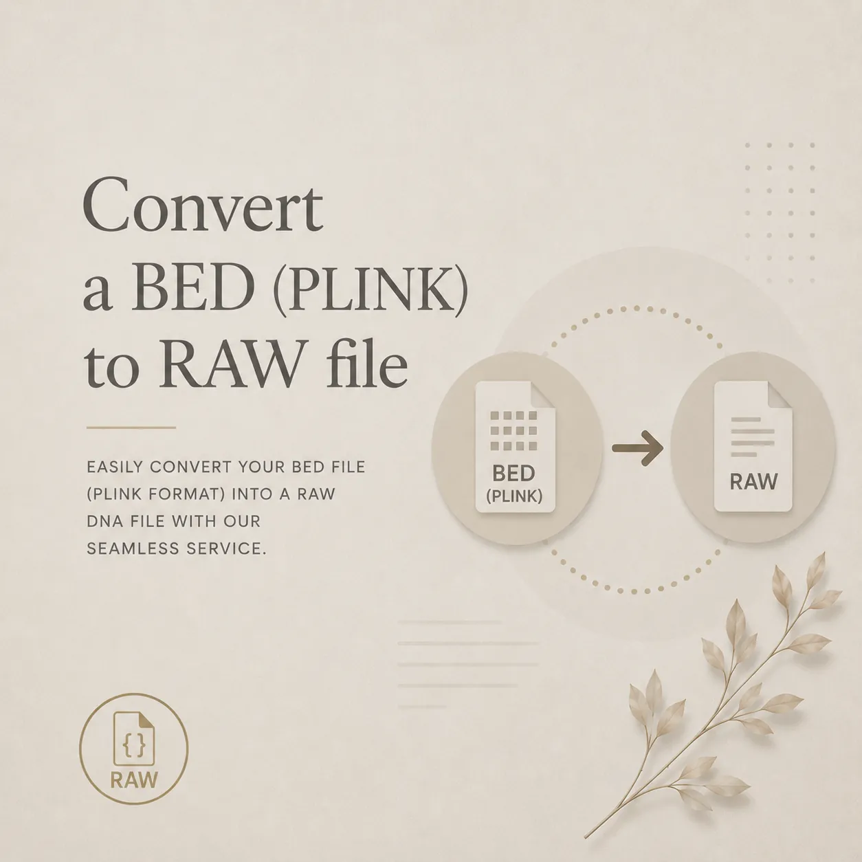 Convert a BED (PLINK) to RAW file