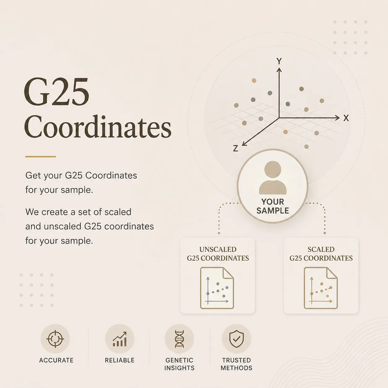G25 Coordinates