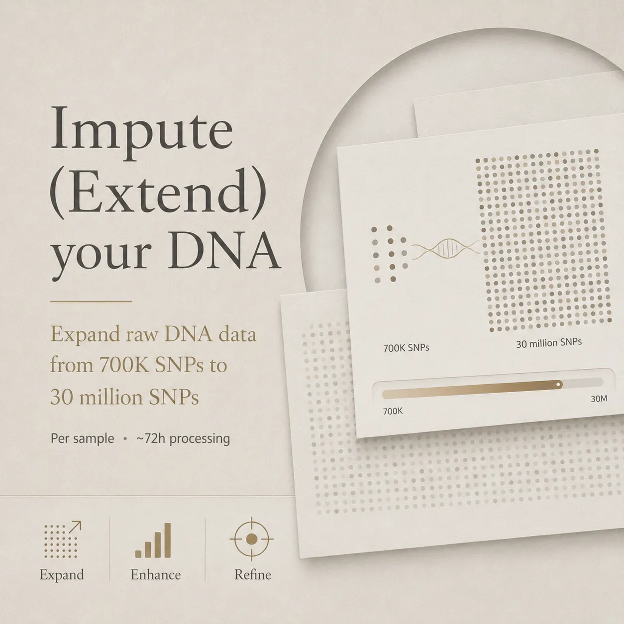 DNA Imputation