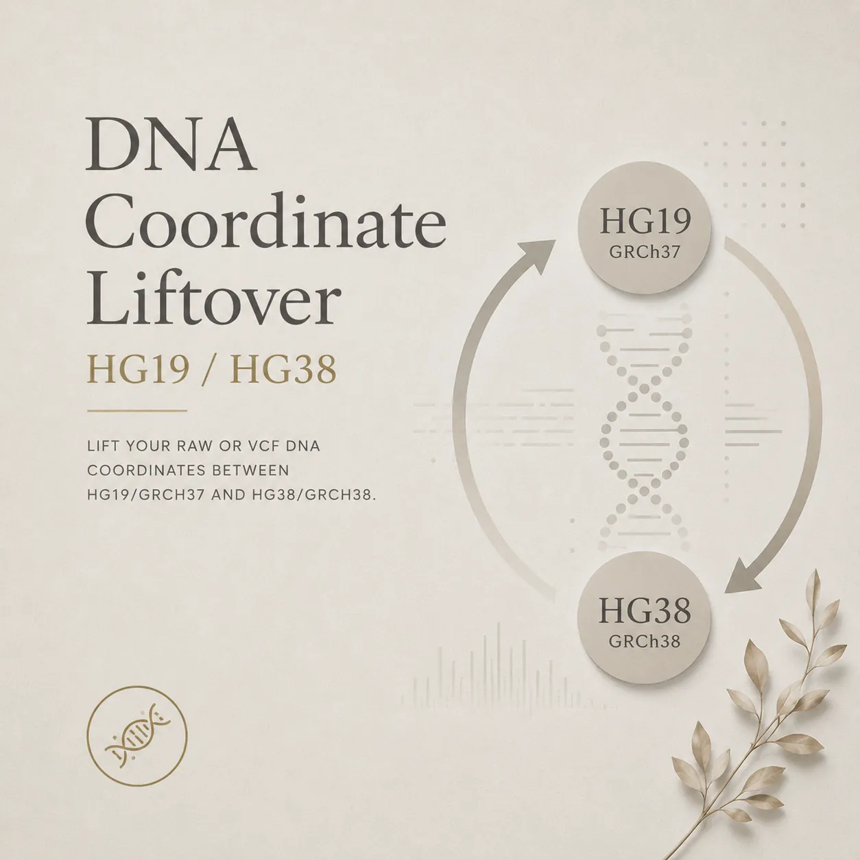 DNA Coordinate Liftover (HG19 / HG38)