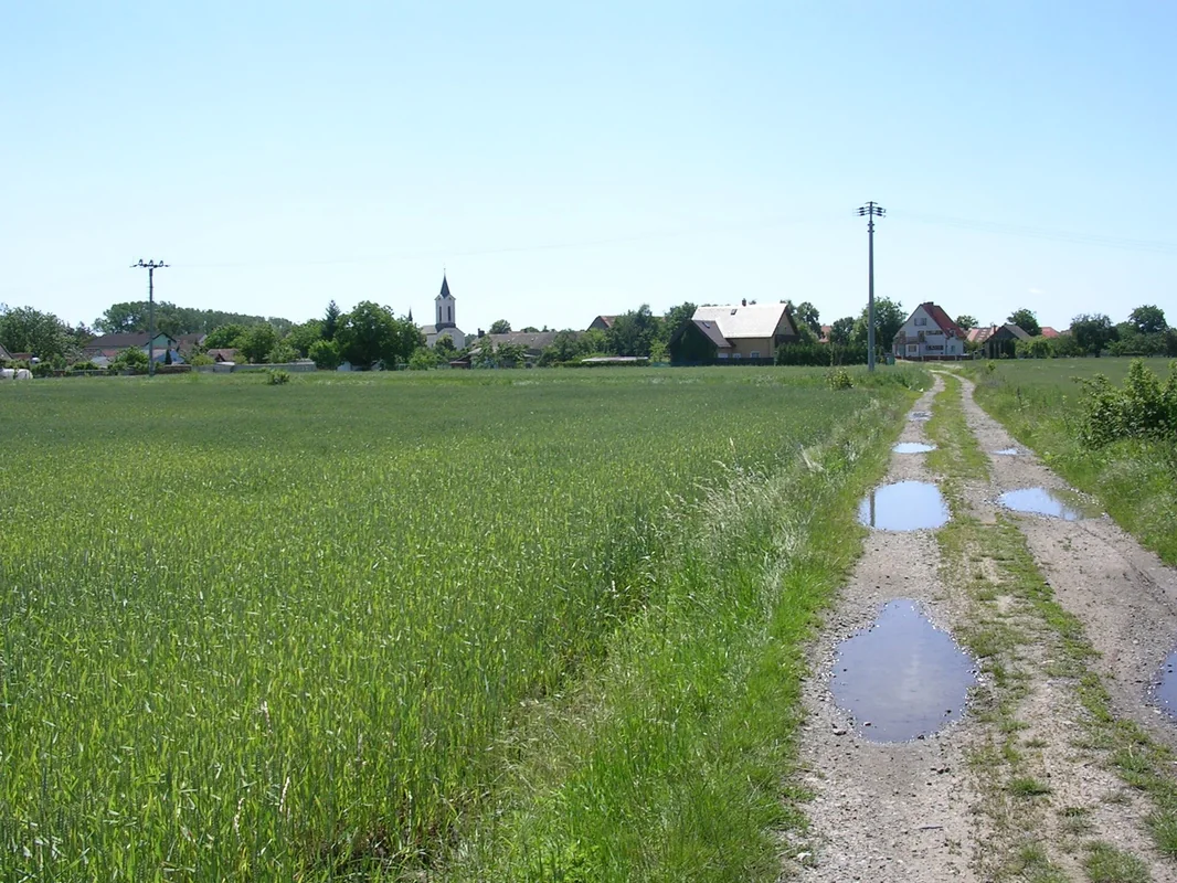 Vliněves